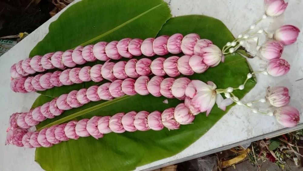 Rose & White Garland