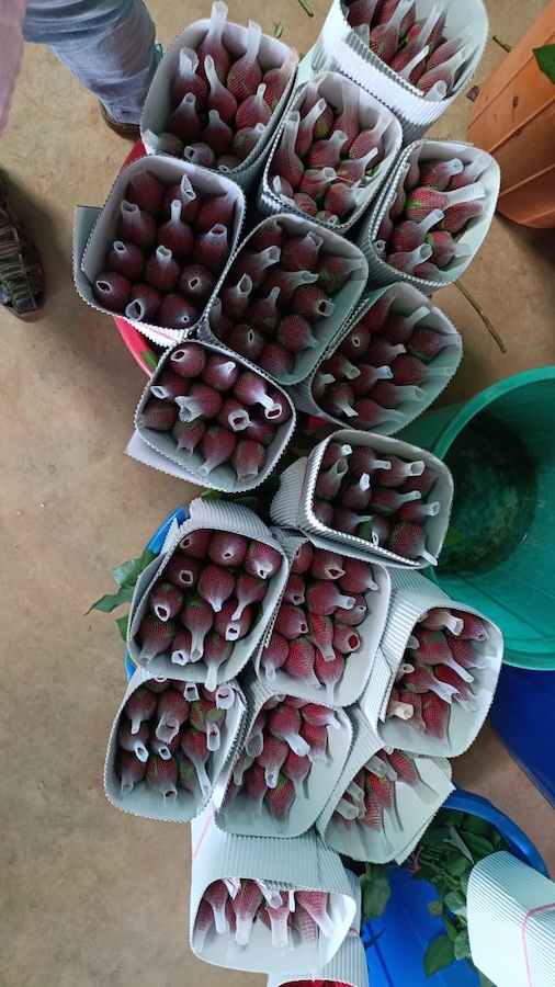 Mixed Floral Bouquet